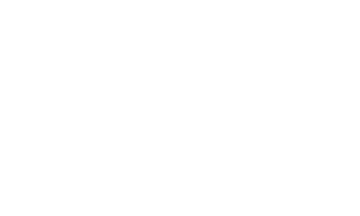 Hoviputki